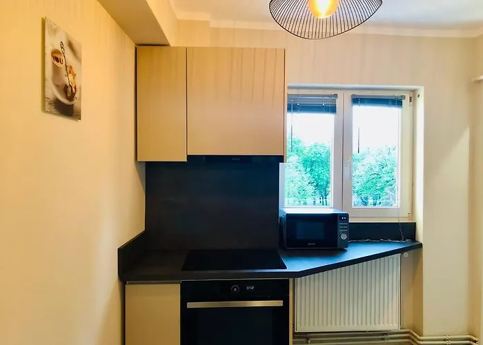 Joy City Victoriei 7g-13 * Timisoara