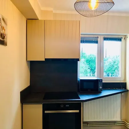 Joy City Victoriei 7g-13 * Temešvár